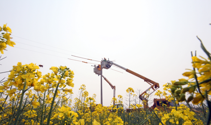 成華防墜器保障武陟縣供電公司首次不停電作業順利完成